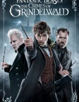 Fantastik Canavarlar: Dumbledore’un Sırları 2022 Türkçe Dublaj izle