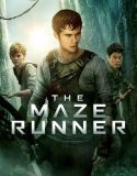 Labirent: Ölümcül Kaçış – The Maze Runner 2014 Türkçe Dublaj izle