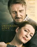 Ordinary Love 2019 Türkçe Dublaj izle