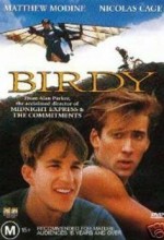 Birdy Türkçe Dublaj izle