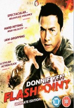 Flash Point Türkçe Dublaj izle