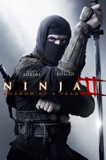Ninja 2: Gözyaşının Gölgesi Türkçe Dublaj izle