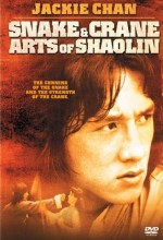 Shaolin’in Yılan Ve Turna Tekniği Türkçe Dublaj izle